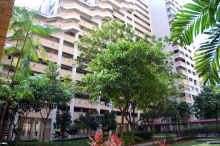 Blk 525 Jelapang Road (Bukit Panjang), HDB 4 Rooms #221952